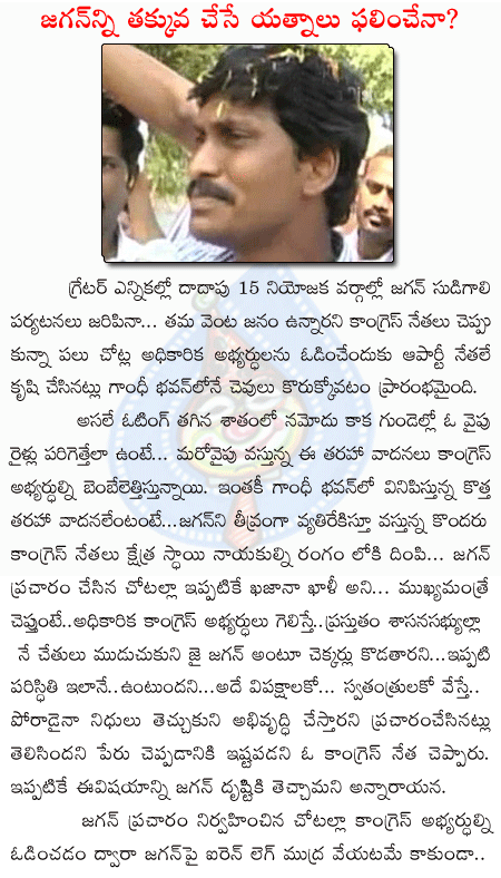 ys jagan,congress,greater hyd elections  ys jagan, congress, greater hyd elections